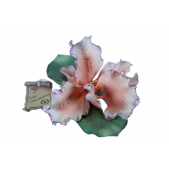 BEAUTIFUL PORCELAIN CAPODIMONTE LARGE Light Pink Orchid Marked N Over Crown IT - Picture 1 of 5